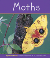 Moths - Frost, Helen