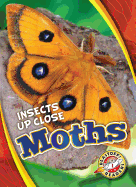 Moths