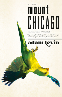 Mount Chicago - Levin, Adam