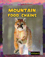 Mountain Food Chains