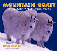 Mountain Goats of Glacier National Park - Harada, Sumio (Photographer), and Yale, Kathleen (Text by)