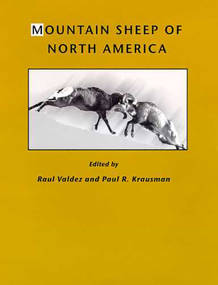 Mountain Sheep of North America - Valdez, Raul (Editor), and Krausman, Paul R (Editor)
