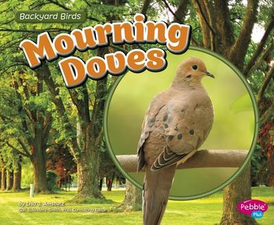 Mourning Doves - Amstutz, Lisa J