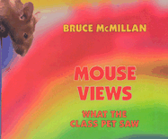 Mouse Views: What the Class Pet Saw