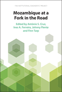 Mozambique at a Fork in the Road: The Institutional Diagnostic Project