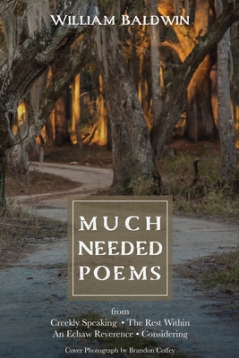 Much Needed Poems - Baldwin, William P