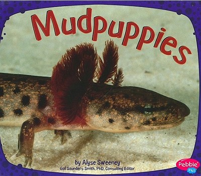 Mudpuppies - Sweeney, Alyse, and Saunders-Smith, Gail, PH.D. (Consultant editor)