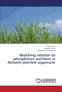 Mulching Relation to Phosphorus Nutrition in Autumn Planted Sugarcane