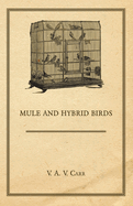 Mule and Hybrid Birds