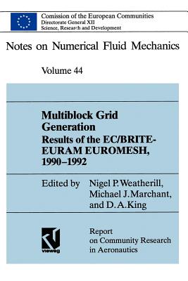 Multiblock Grid Generation: Results of the Ec/Brite-Euram Project Euromesh, 1990-1992 - Weatherill, Nigel P (Editor)