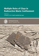 Multiple Roles of Clays in Radioactive Waste Confinement