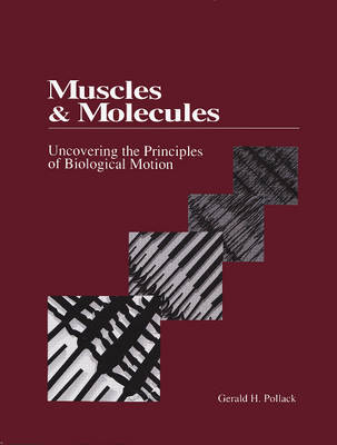 Muscles and Molecules: Uncovering the Principles of Biological Motion - Pollack, Gerald H