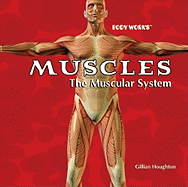 Muscles: The Muscular System