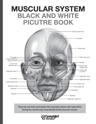 Muscular System Black and White Picture Book: Guide For The Muscular System - Books, Pamphlet