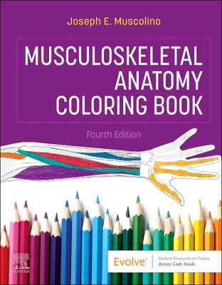 Musculoskeletal Anatomy Coloring Book - Muscolino, Joseph E, DC