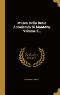 Museo Della Reale Accademia Di Mantova, Volume 3...