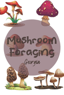 Mushroom Foraging Georgia: Wild Mushroom Hunting Logbook Tracking Notebook Gift for Mushroom Lovers, Hunters and Foragers. Record Locations, Quantity, Species, Soil and Weather Conditions, and More