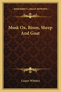 Musk Ox, Bison, Sheep and Goat
