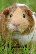 My Address Book: Cute Guinea Pig - Address Book for Names, Addresses, Phone Numbers, E-mails and Birthdays