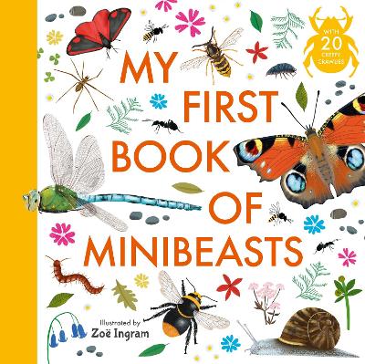 My First Book of Minibeasts - Anonymous