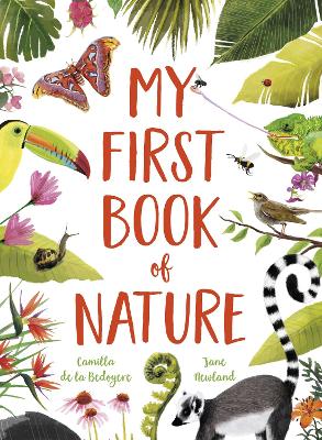 My First Book of Nature: With 4 sections and wipe-clean spotting cards - Bedoyere, Camilla De La