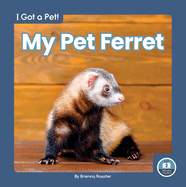 My Pet Ferret