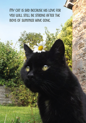 My Sad Cat Notebook - Cox, Tom (Photographer)
