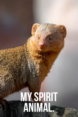 My Spirit Animal: Mongoose Journal - Notebooks, Golding