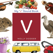 My V Sound Book