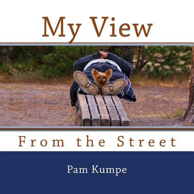 My View from the Street - Kumpe, Pam