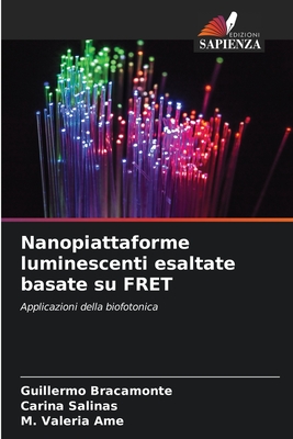 Nanopiattaforme luminescenti esaltate basate su FRET - Bracamonte, Guillermo, and Salinas, Carina, and Ame, M Valeria
