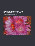 Natick dictionary
