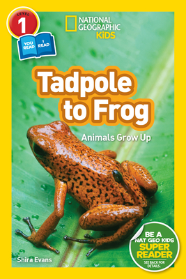 National Geographic Readers: Tadpole to Frog (L1/Coreader) - Evans, Shira