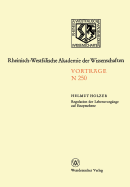 Natur-, Ingenieur- Und Wirtschaftswissenschaften: Vortrge - N 250