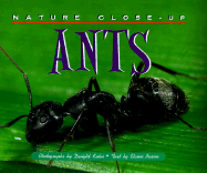 Nature Close Up: Ants