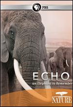 Nature: Echo - An Elephant to Remember - Mike Birkhead