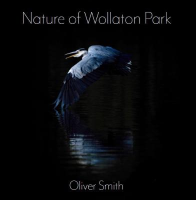 Nature of Wollaton Park - Smith, Oliver