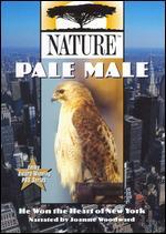 Nature: Pale Male