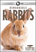 Nature: Remarkable Rabbits