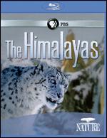 Nature: The Himalayas [Blu-ray] - 