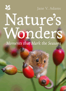 Nature's Wonders: Moments That Mark the Seasons