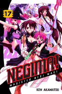 Negima!, Volume 17: Magister Negi Magi