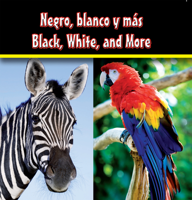 Negro, Blanco Y Mas: Black, White, and More - Rourke Educational Media
