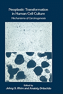 Neoplastic Transformation in Human Cell Culture: Mechanisms of Carcinogenesis