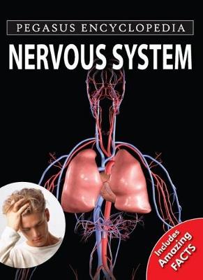 Nervous System - Pegasus