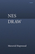 Nes Draw