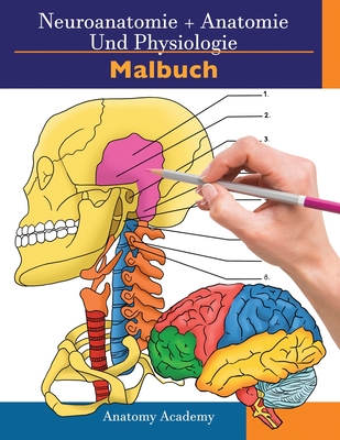 Neuroanatomie + Anatomie und Physiologie Malbuch: 2-in-1-Sammlungssatz Unglaublich detailliertes Arbeitsheft mit Selbsttestfarben fr Studium und Entspannung - Harrison, Clement