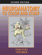 Neuroanatomy to Color and Study