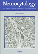 Neurocytology: Fine Structure of Neurons, Nerve Processes, and Neuroglial Cells