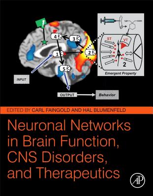 Neuronal Networks in Brain Function, CNS Disorders, and Therapeutics - Faingold, Carl (Editor), and Blumenfeld, Hal (Editor)
